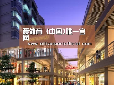 案例展示一(图1)
