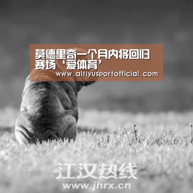 爱体育